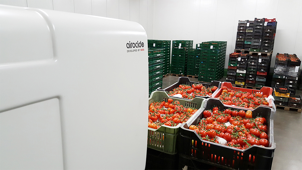 airocide-kho-bao-quan-nong-san