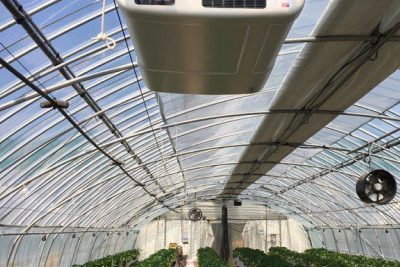 airocide-trong-nha-kinh-trong-rau-qua