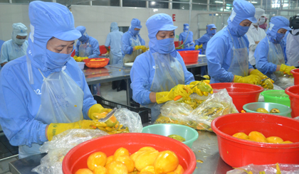 cong-ty-tnhh-long-uyen