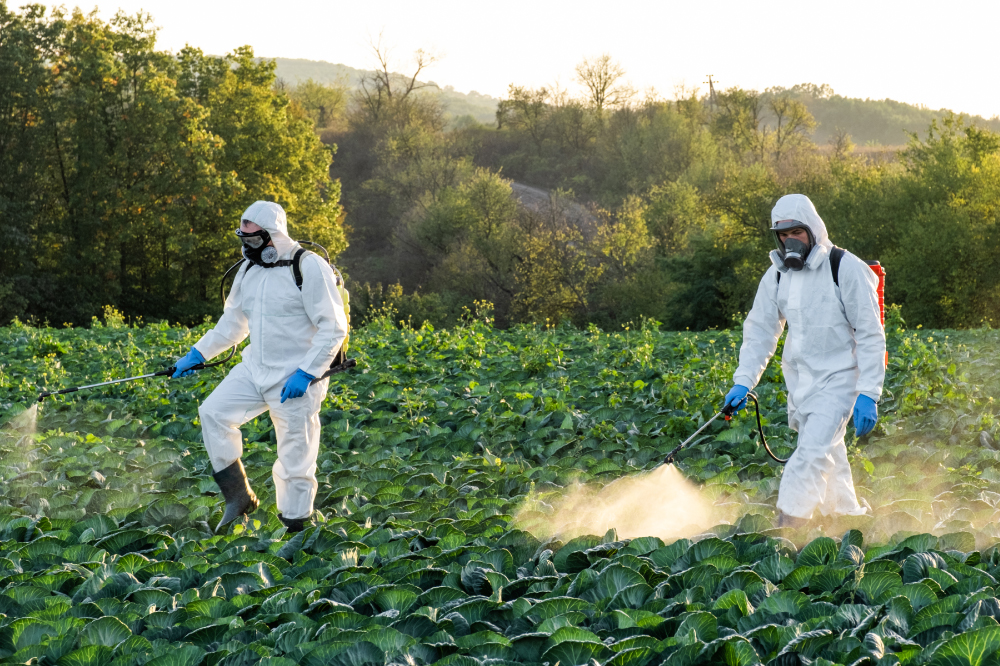 naoclean-phun-diet-mam-benh