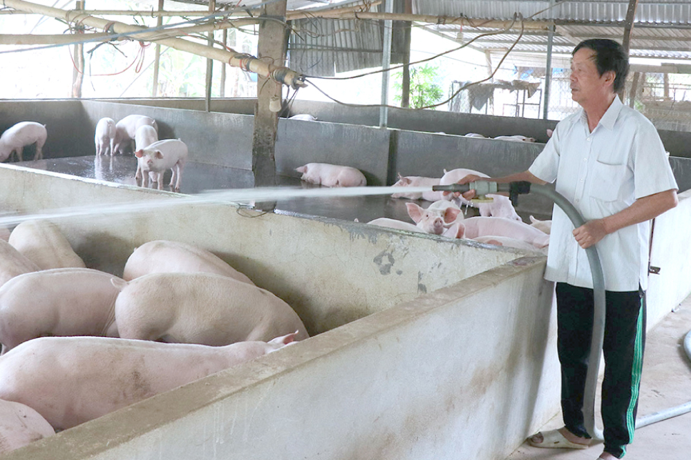 naoclean-tam-rua-gia-suc