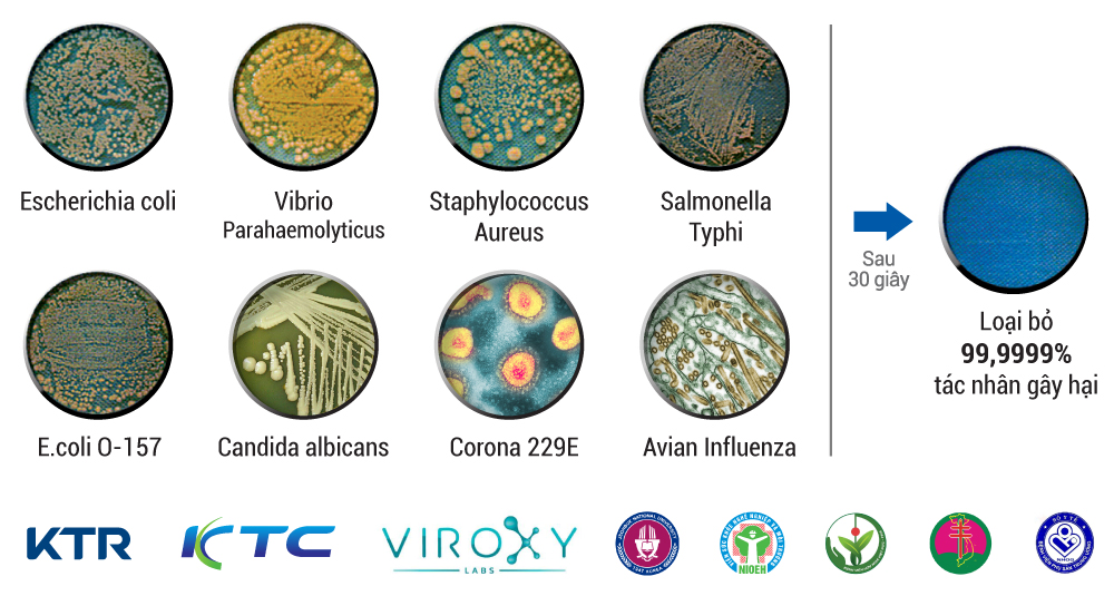 pho-khu-khuan-naoclean