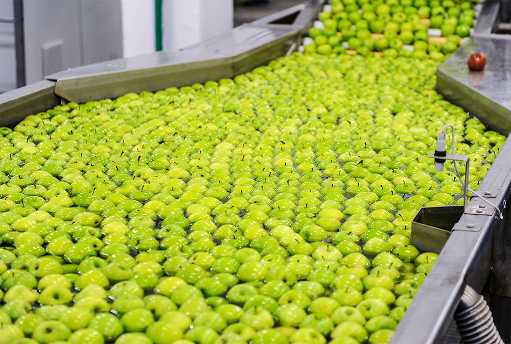 ung-dung-naoclean-ngam-rua-nong-san-thuc-pham-tai-co-so-che-bien-bao-quan