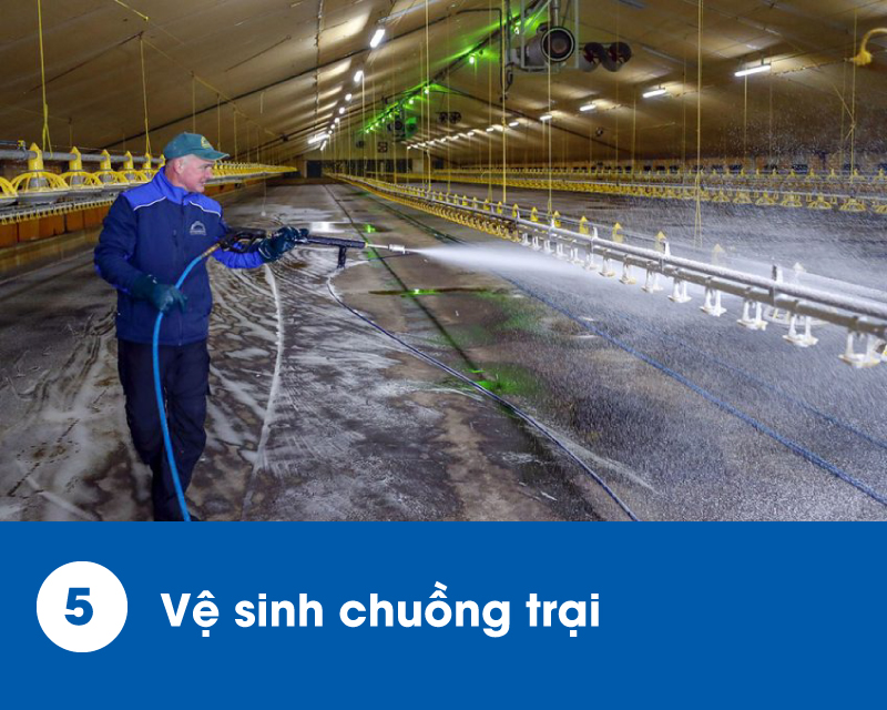 ung-dung-des-16000-5