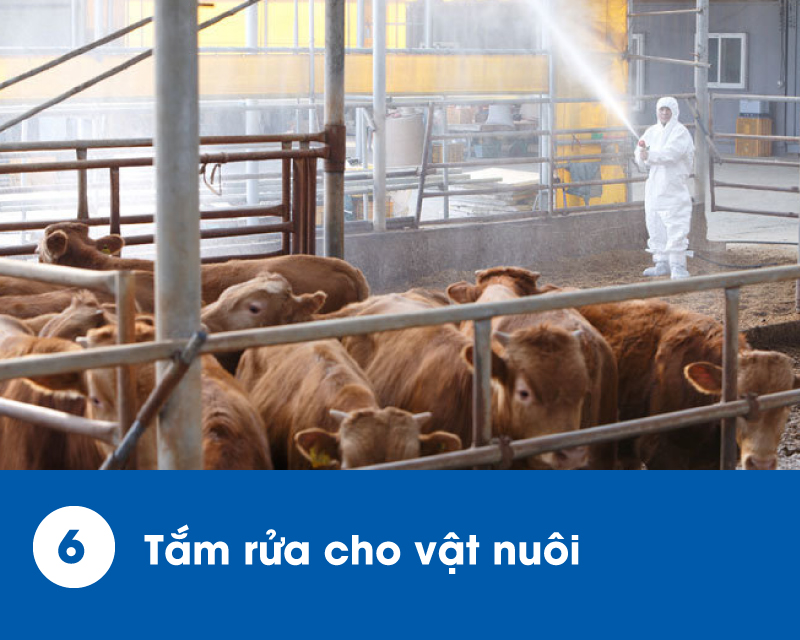 ung-dung-des-16000-6