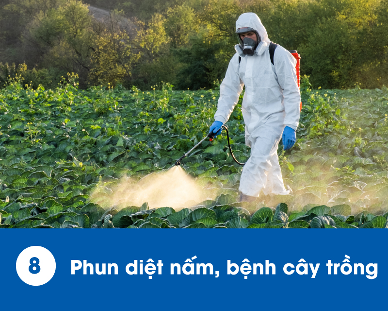 ung-dung-des-16000-8