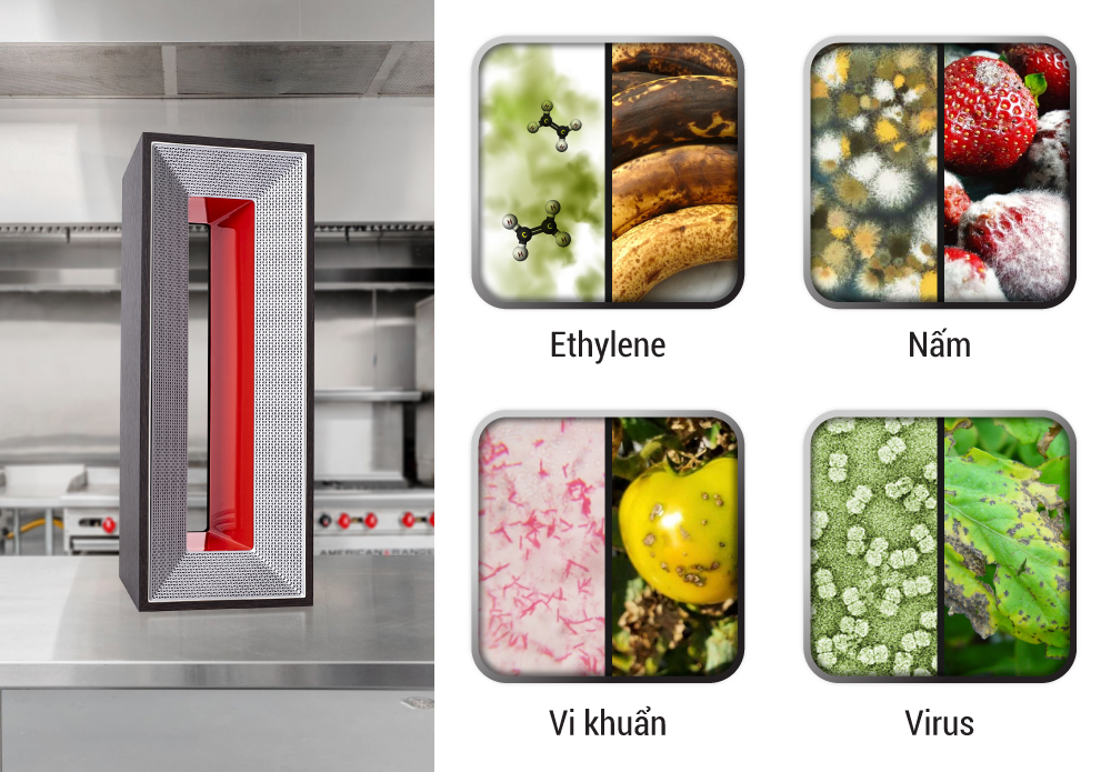 Airocide-khu-khuan-trong-HORECA