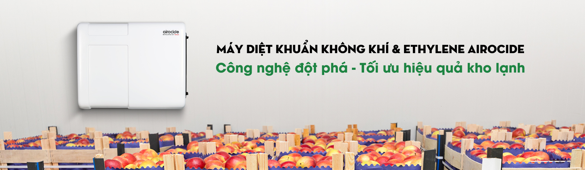 Kho lạnh khử khuẩn công nghệ cao