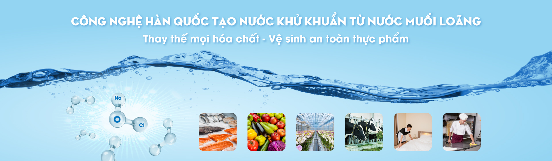 NaOClean: Công nghệ tiên phong từ D&D, Hàn Quốc