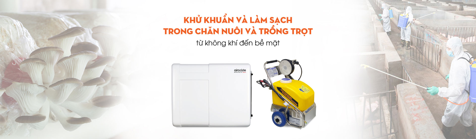 Ứng dụng Thiết bị Khử khuẩn không khí trong Chăn nuôi & Trồng trọt