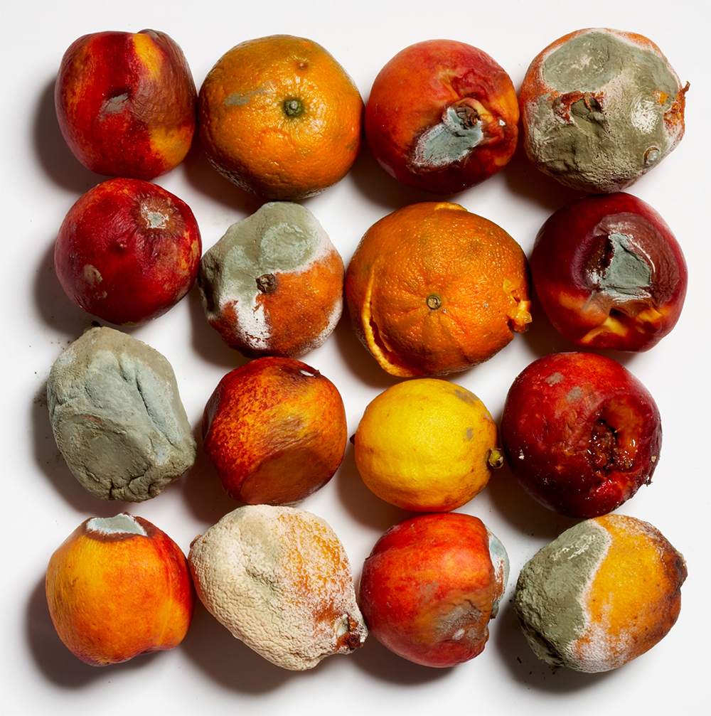 hoa-qua-bi-nam-moc-san-sinh-mycotoxin