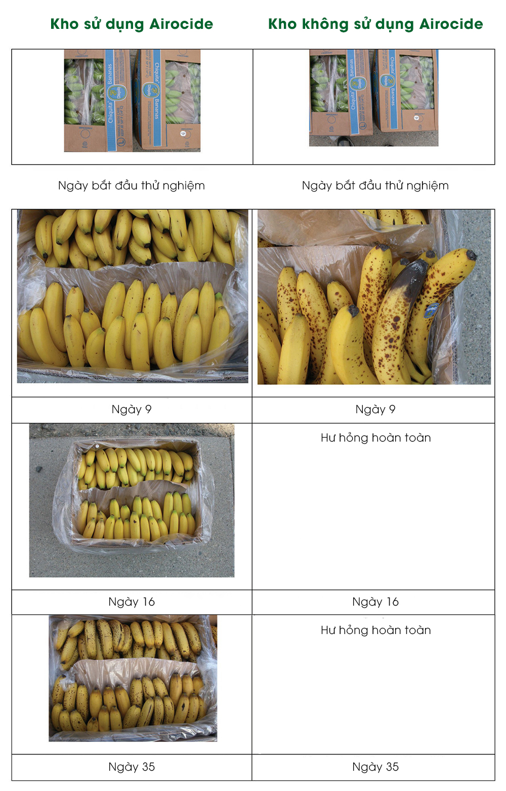 kiem-nghiem-tren-chuoi-BQP-My