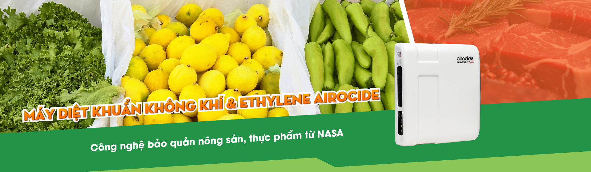 Airocide trong Bảo quản & Chế biến nông sản, thực phẩm