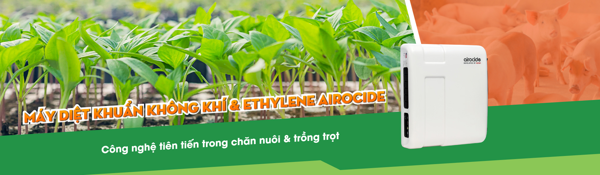 Airocide trong Chăn nuôi & Trồng trọt