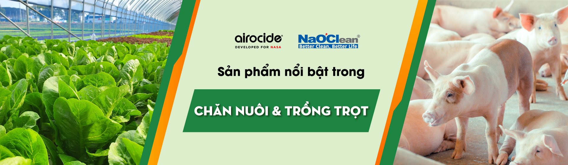 Sản phẩm trong Chăn nuôi & Trồng trọt